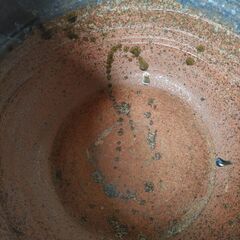 睡蓮鉢の画像