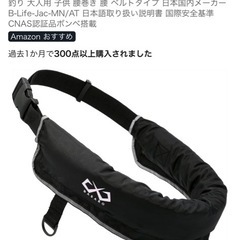 ライフジャケットの画像