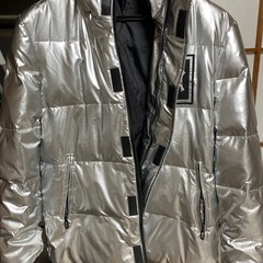 ほぼ未使用　シルバーダウンの画像