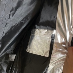 ほぼ未使用　シルバーダウンの画像