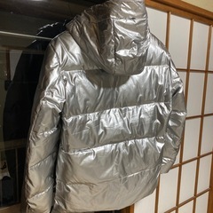 ほぼ未使用　シルバーダウンの画像