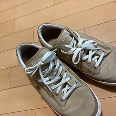 クラークスの画像