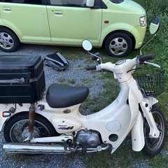 リトルカブ　中古の画像