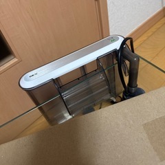 水槽セット①　60cm 今すぐ飼えます！の画像