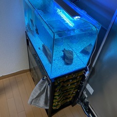 600オーバーフローセットの画像