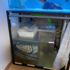 600オーバーフローセットの画像
