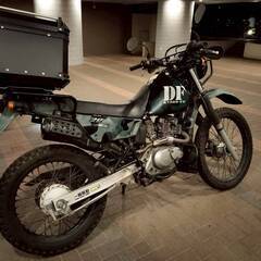 DF200E★ノーマル車★SH42A・オフロードトレール・ミリタリーカラー・SUZUKI 検）ジャベル200 DF125Eの画像