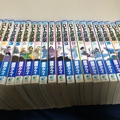 ドラゴンクエスト列伝 『ロトの紋章』全21巻の画像