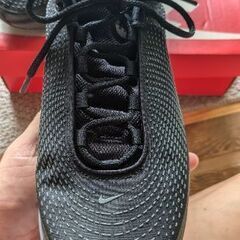 NIKE　エアマックスDN　の画像