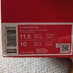 NIKE　エアマックスDN　の画像