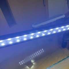 ①45-60cm水槽用LEDライトのみ の画像