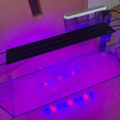 ①45-60cm水槽用LEDライトのみ の画像