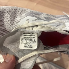 Mizuno WAVE REBELLION FLASH2 26.0の画像