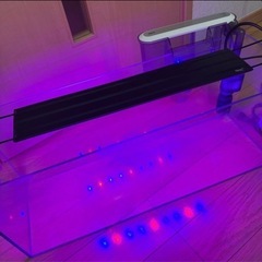 ②40-60cm水槽用LEDライトのみの画像