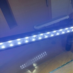 ②40-60cm水槽用LEDライトのみの画像