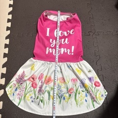 犬服の画像
