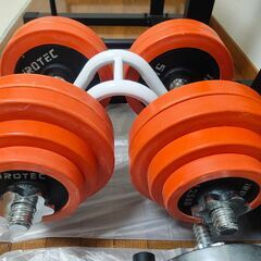 【セット売り】IROTEC（アイロテック）ラバーダンベル2個セット合計60KG、ダンベル1個10kg、インクラインベンチ、チンニングスタンド、腹筋ローラーの画像