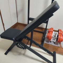 【セット売り】IROTEC（アイロテック）ラバーダンベル2個セット合計60KG、ダンベル1個10kg、インクラインベンチ、チンニングスタンド、腹筋ローラーの画像