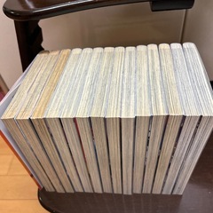 エヴァンゲリオンコミック14冊の画像