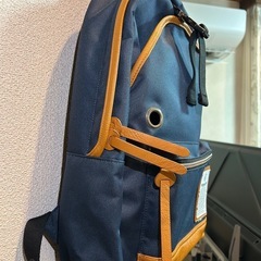 【未使用品】Bianchi(ビアンキ) NBTC-05リュックの画像