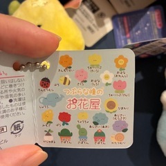 つぶらな瞳　お寿司🍣、星座♑️、お花屋🌸　4つセット！の画像