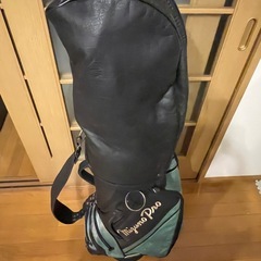 ミズノプロゴルフクラブの画像