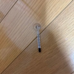 ②今すぐ飼える25cm水槽セット！の画像