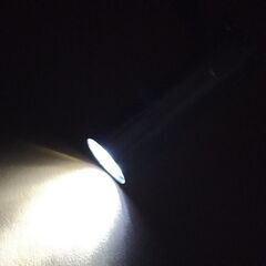 【限界値下げ】懐中電灯 ２本セット 手の平サイズのブラウン キーホルダータイプのシルバー    の画像