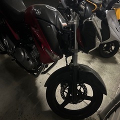 GSR250の画像