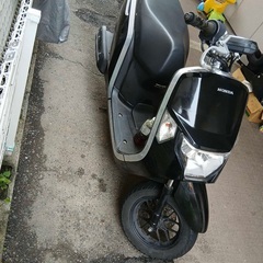 ホンダ dunk AF78の画像