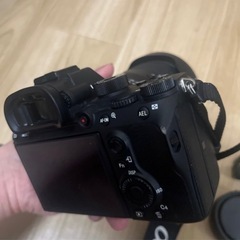 sony a7r3a + 28-200 タムロン+50 f2 ttartisan +oreo lense      かめらカメラ  の画像