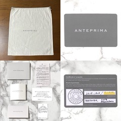 【極美品】ANTEPRIMA アンテプリマ ケイト ワイヤーバッグ 2way 付属品完備 の画像