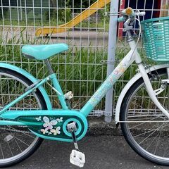ブリヂストンECOPALエコパル22インチ-juniorの画像