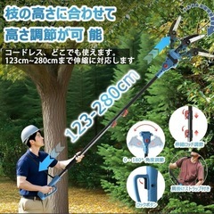 【新品】電動チェーンソー　枝切りハサミ　伸縮ポールの画像