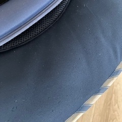 ベビーカーピジョンランフィRB1Zの画像