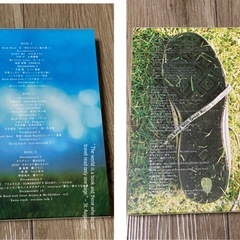 ap bank fes DVD
の画像