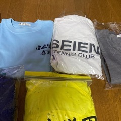 Ｔシャツ
の画像