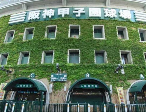値下げスタート‼️9月14日（日）18:00〜　阪神vs中日　甲子園