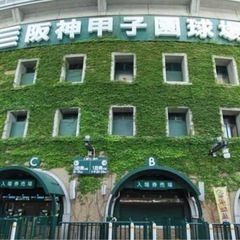 値下げスタート‼️9月14日（日）18:00〜　阪神vs中日　甲子園の画像
