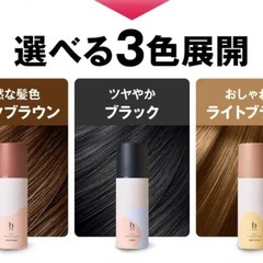 ビーリスエアリーカラーリングフォームダークブラウンの画像