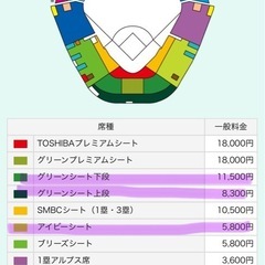 値下げスタート‼️9月14日（日）18:00〜　阪神vs中日　甲子園の画像