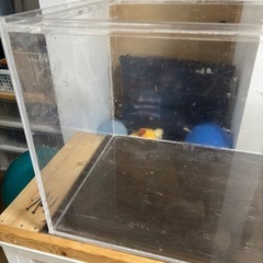1200アクリル水槽の画像