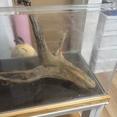 1200アクリル水槽の画像