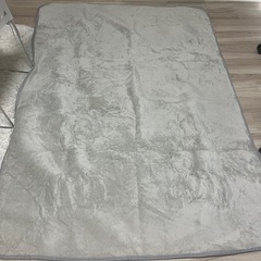 グレーのカーペットの画像