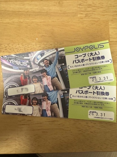 ジョイポリス　ワンデーパス　2枚