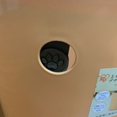 猫のトイレの画像