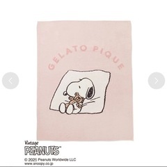 ジェラートピケ 【PEANUTS】【Sleep】SNOOPY×BEAR ジャガードマルチカバー・ジャガードピローケース の画像