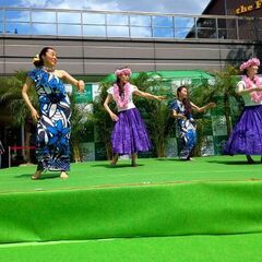 フラダンス南林間(子連れOK)の画像