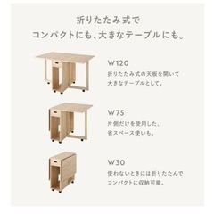 RASIK 折りたたみ　ダイニング　バタフライ　テーブル　デスクの画像