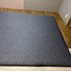 厚い　ラグ　使用期間4ヶ月の画像